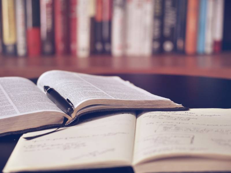 kako se navodi literatura